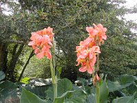 Royal Botanic Gardens